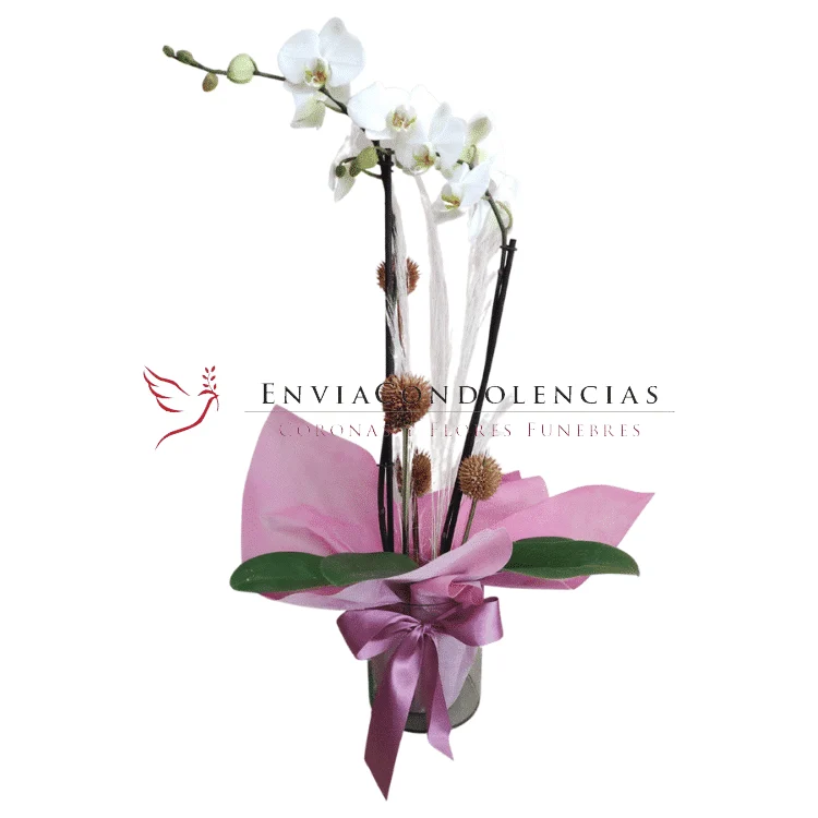 Envía flores a la CDMX