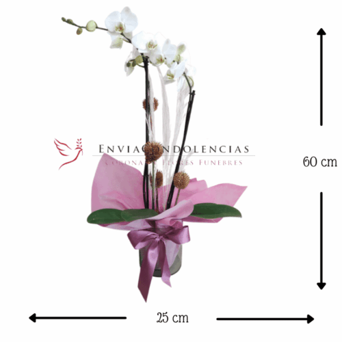 Envía flores a la CDMX