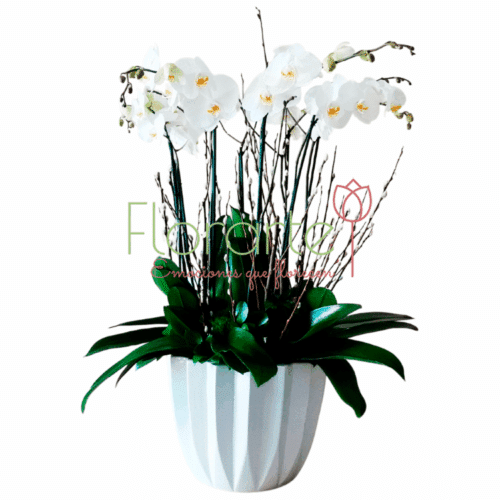 Envía flores a la CDMX