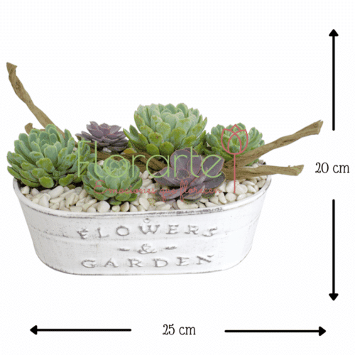 Envía flores a la CDMX