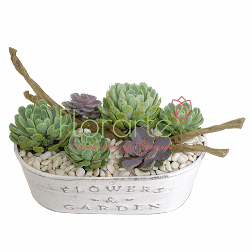 Envía flores a la CDMX