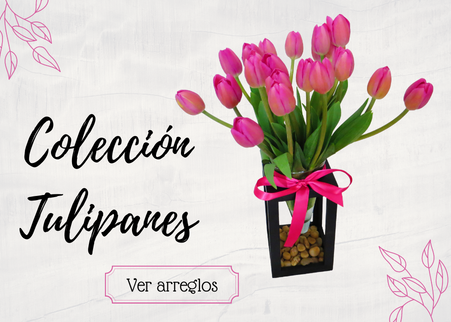 Tulipanes a domicilio - Florería Ciudad de México