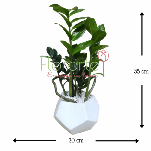 Envía flores a la CDMX