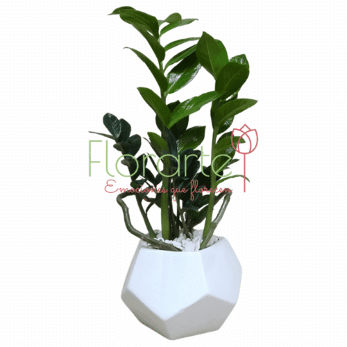 Envía flores a la CDMX