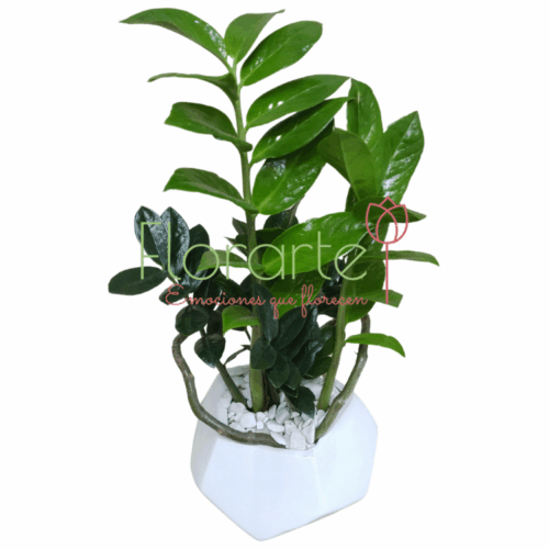 Envía flores a la CDMX