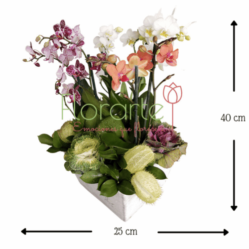 Envía flores a la CDMX