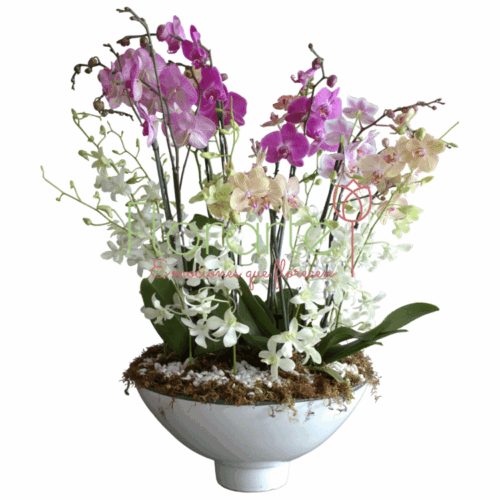 Envía flores a la CDMX