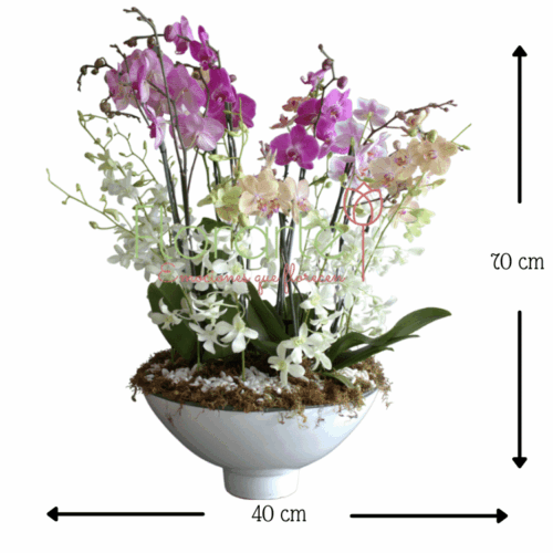 Envía flores a la CDMX