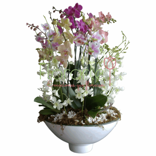 Envía flores a la CDMX