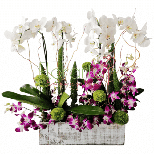 Envía flores a la CDMX