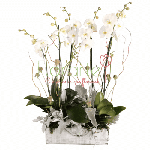 Envía flores a la CDMX