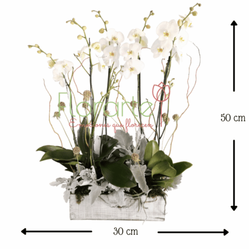 Envía flores a la CDMX