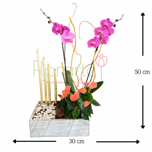 Envía flores a la CDMX