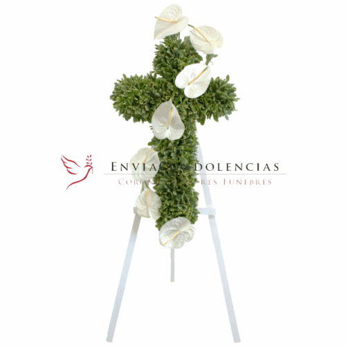 Envía flores a la CDMX