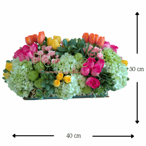 Arcoíris del Campo MED Envía flores a la CDMX