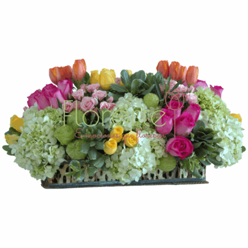 Arcoíris del Campo1 LOG Envía flores a la CDMX