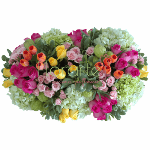 Arcoíris del Campo2 LOG Envía flores a la CDMX