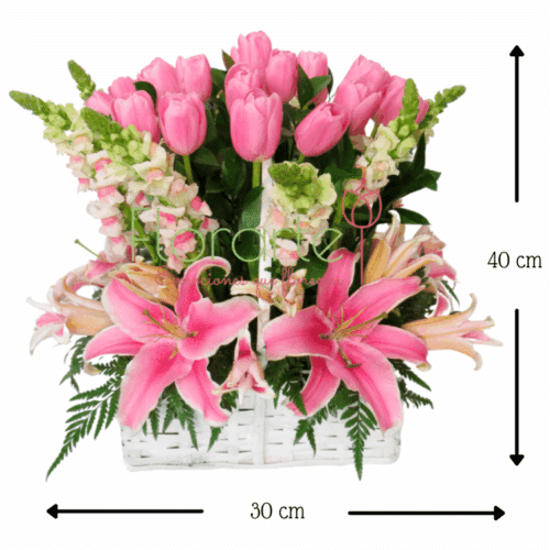 Caperuza Besos de Ternura MED Envía flores a la CDMX