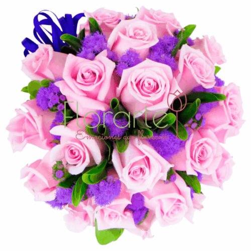 Encanto Rosa1 LOG Envía flores a la CDMX