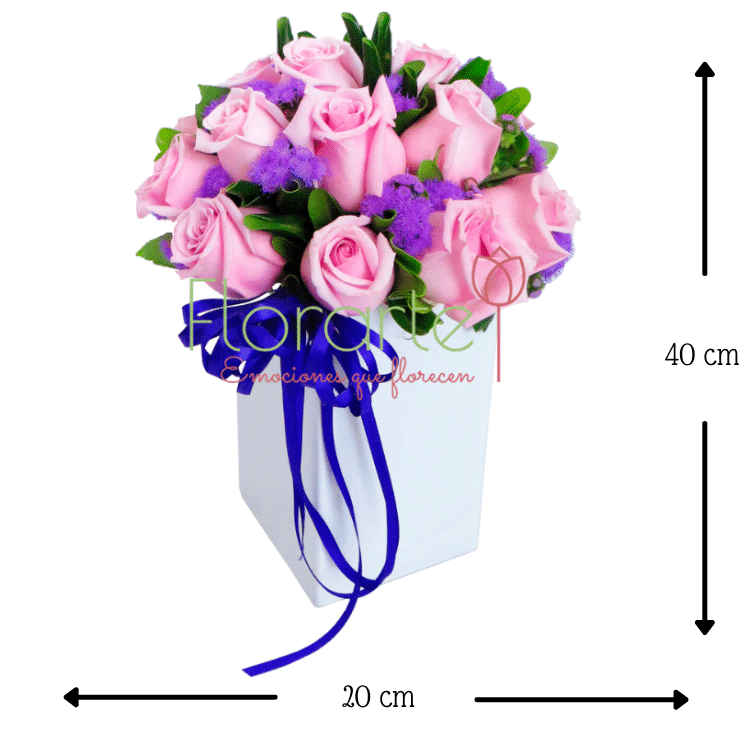 Encanto Rosa2 MED Envía flores a la CDMX