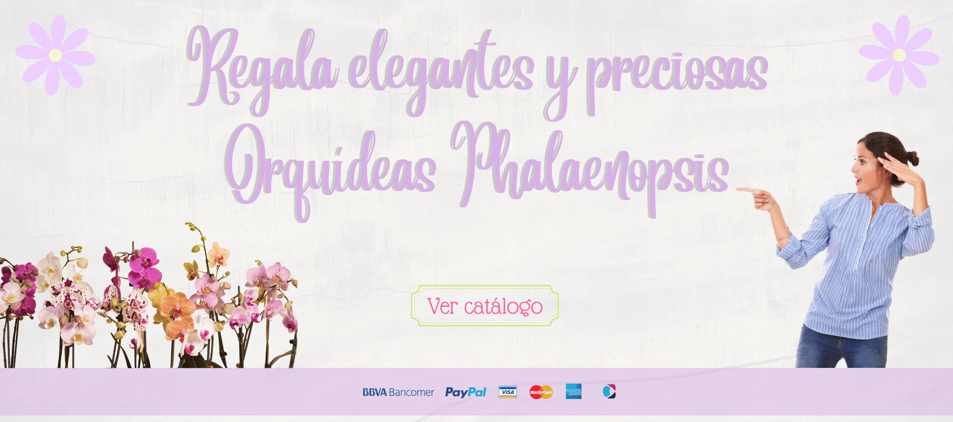 ORQUÍDEAS PHALAENOPSIS