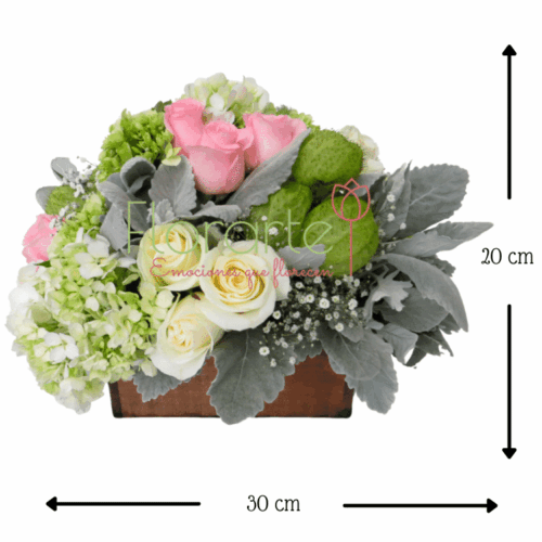 Pureza de Ternura MED Envía flores a la CDMX