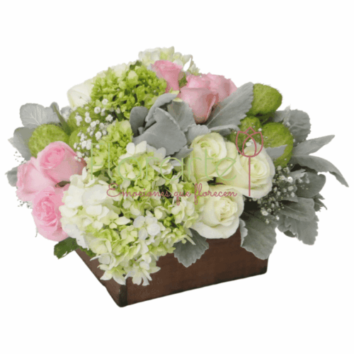 Pureza de Ternura1 LOG Envía flores a la CDMX