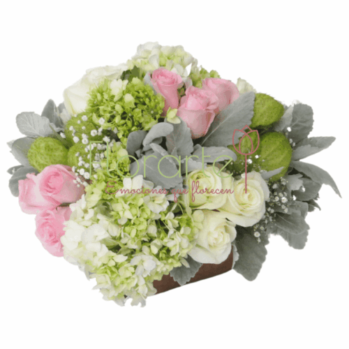 Pureza de Ternura2 LOG Envía flores a la CDMX