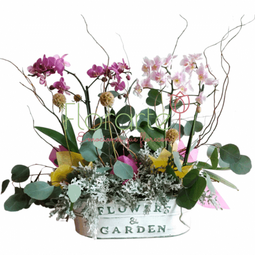 Envía flores a la CDMX