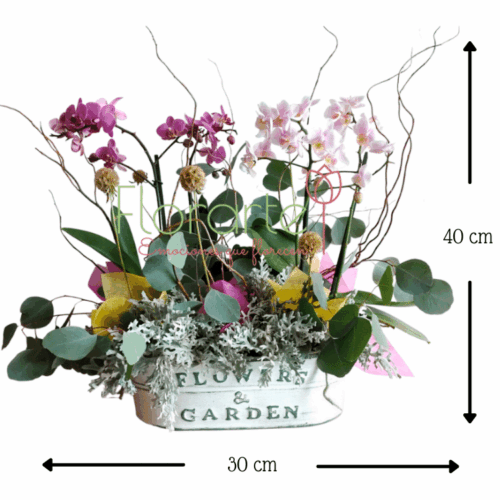 Envía flores a la CDMX