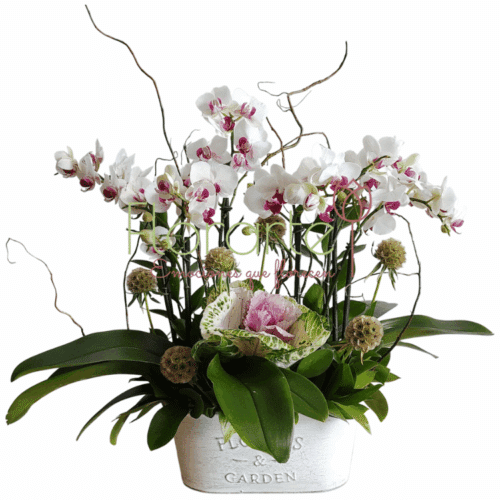 Envía flores a la CDMX