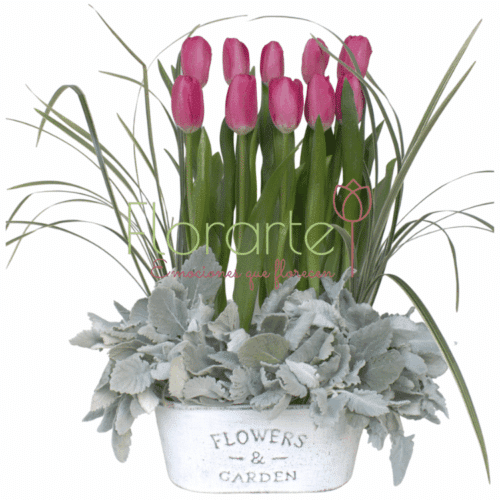 Envía flores a la CDMX