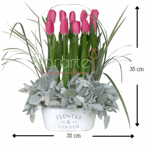 Envía flores a la CDMX