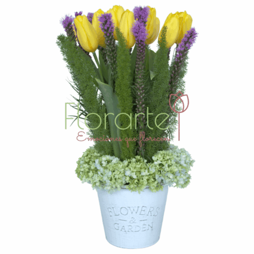 Envía flores a la CDMX