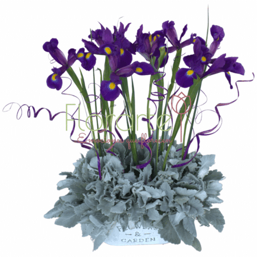 Envía flores a la CDMX