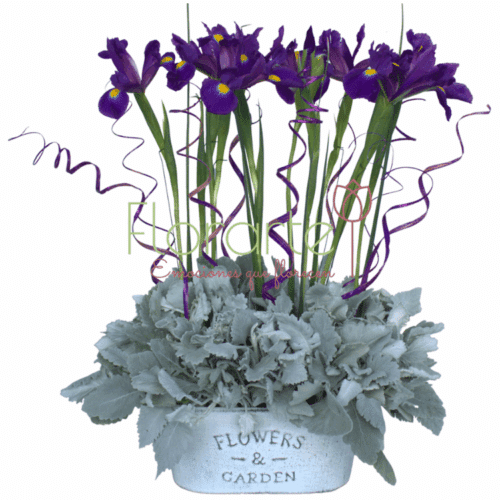 Envía flores a la CDMX