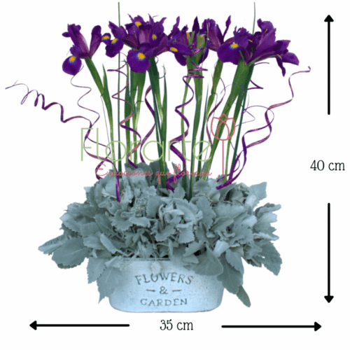 Envía flores a la CDMX