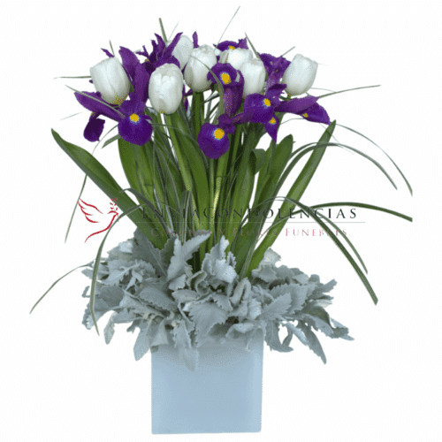 Envía flores a la CDMX