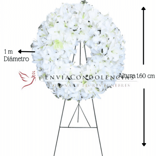 Ángel de Paz Envía flores a la CDMX