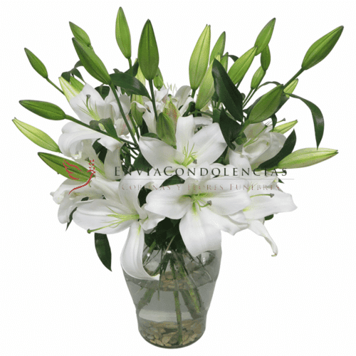 Envía flores a la CDMX