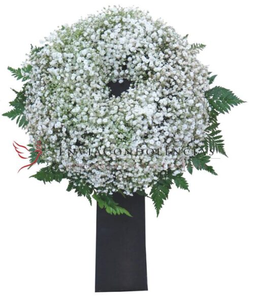 Envía flores a la CDMX