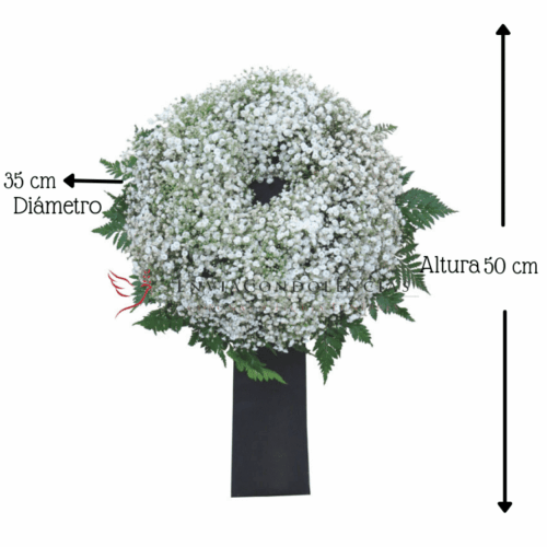 Envía flores a la CDMX