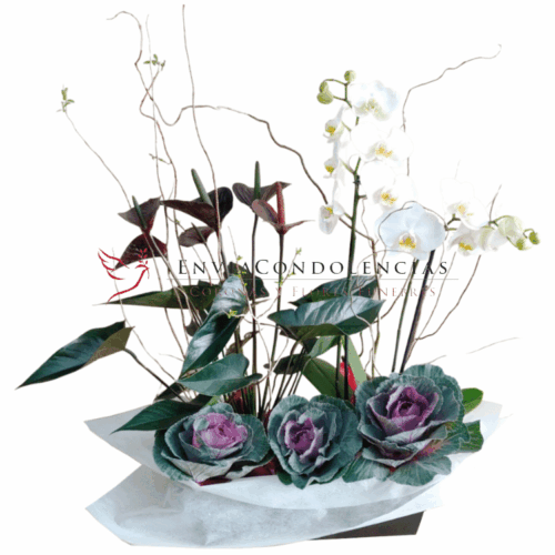 Envía flores a la CDMX