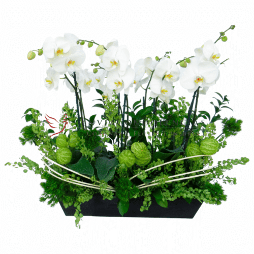 Envía flores a la CDMX