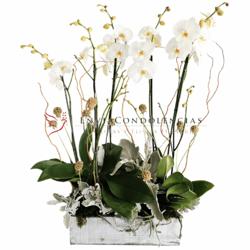 Envía flores a la CDMX