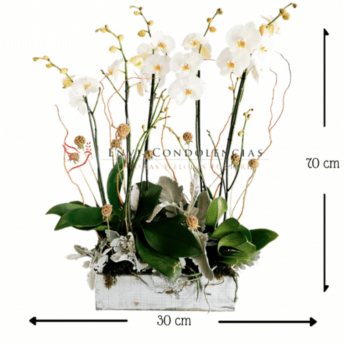 Envía flores a la CDMX