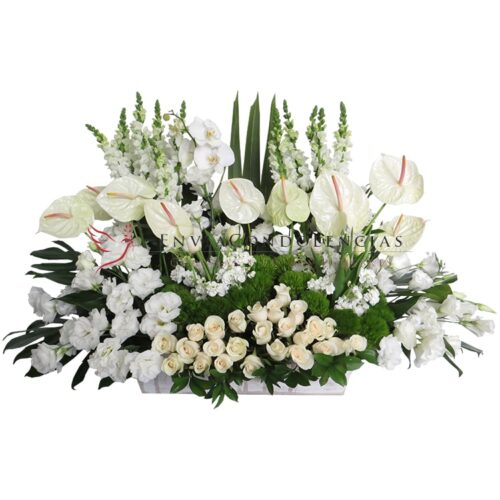 Envía flores a la CDMX