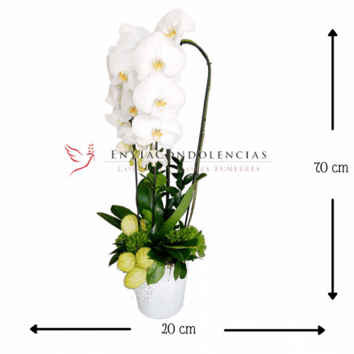 Envía flores a la CDMX