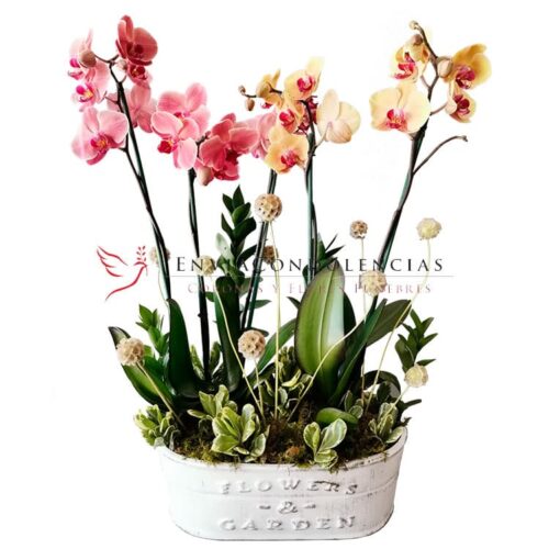 Envía flores a la CDMX