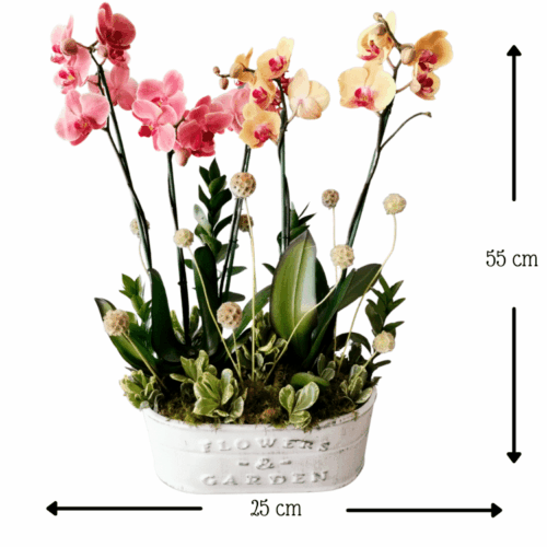 Envía flores a la CDMX